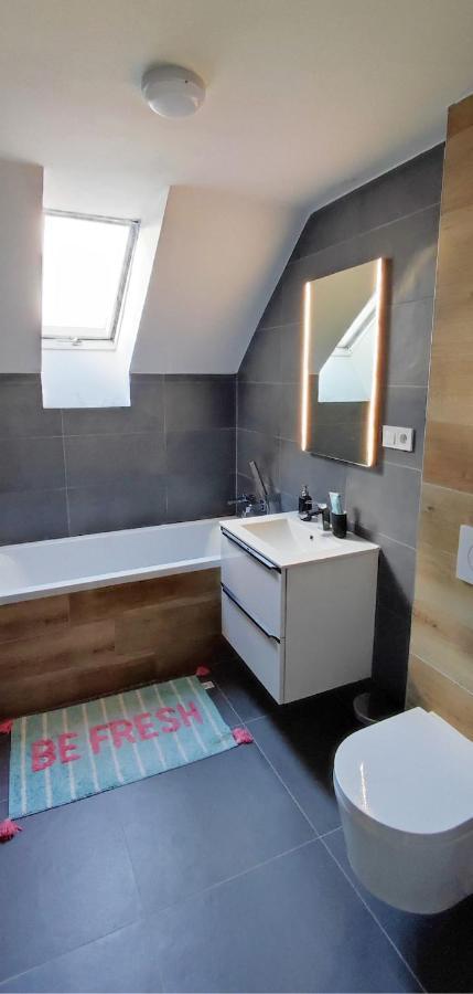 Apartamento Apartman Pod Jestedem Liberec Exterior foto